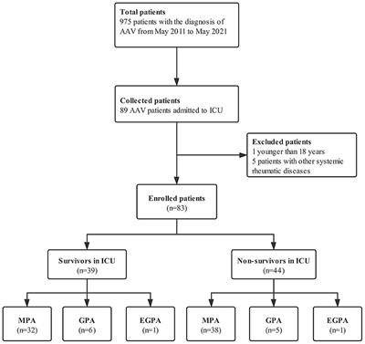 Predictors of Mortality in Critically Ill Patients With Antineutrophil Cytoplasmic Antibody-Associated Vasculitis